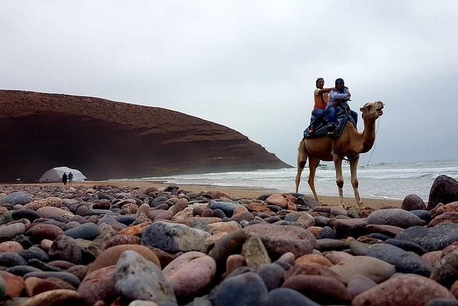 Balade à Dos de Dromadaire à Agadir : Tradition Marocaine Authentique – Sérénité, Dunes & Coucher de Soleil Magique 2026