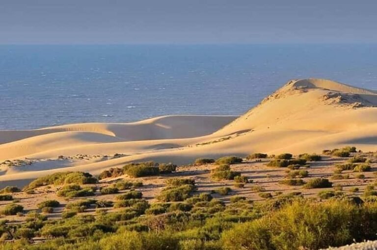 Parc National Souss-Massa