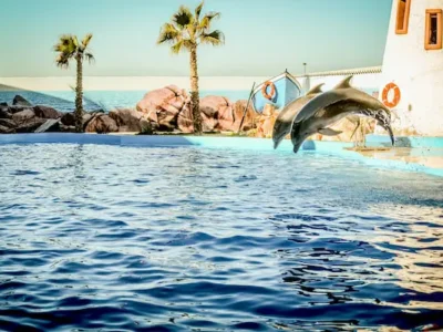 Dolphin World Agadir